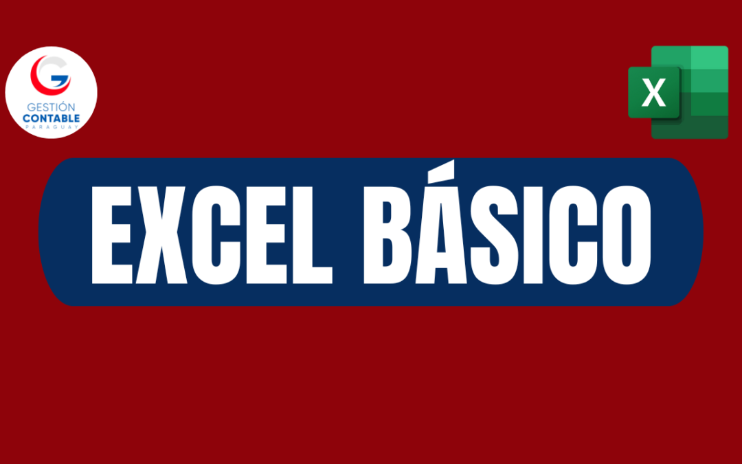 CURSO EXCEL BÁSICO (9 HS DE ESTUDIO)