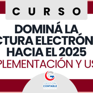 1224 FACTURACION ELECTRONICA IMPLEMENTACION Y USO (4 HS DE ESTUDIO)