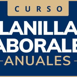 0325 PLANILLAS LABORALES ANUALES (4 HS DE ESTUDIO)