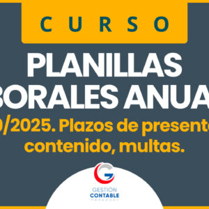 0425 PLANILLAS LABORALES ANUALES (4 HS DE ESTUDIO)