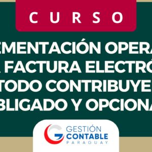 0725 FACTURA ELECTRONICA (6 HS DE ESTUDIO)
