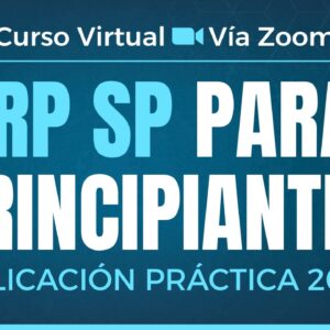 1025 IRP SP PARA PRINCIPIANTES CURSO 2 (ÚNICA CLASE)