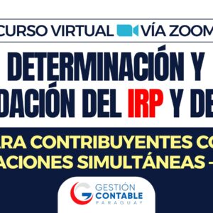 1025 LIQUIDACION IRP E IVA (ÚNICA CLASE)