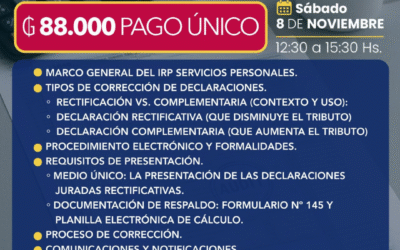 RECTIFICATIVAS DE IRP-SP