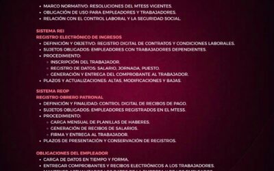𝐕𝐈𝐃𝐄𝐎 𝐂𝐋𝐀𝐒𝐄𝐒 & 𝐌𝐀𝐓𝐄𝐑𝐈𝐀𝐋𝐄𝐒    3️⃣ 𝐇𝐒     𝐒𝐈𝐒𝐓𝐄𝐌𝐀𝐒 𝐑𝐄𝐈 𝐘 𝐑𝐄𝐎𝐏